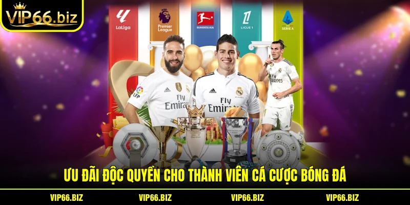 Ưu đãi độc quyền cho thành viên cá cược bóng đá